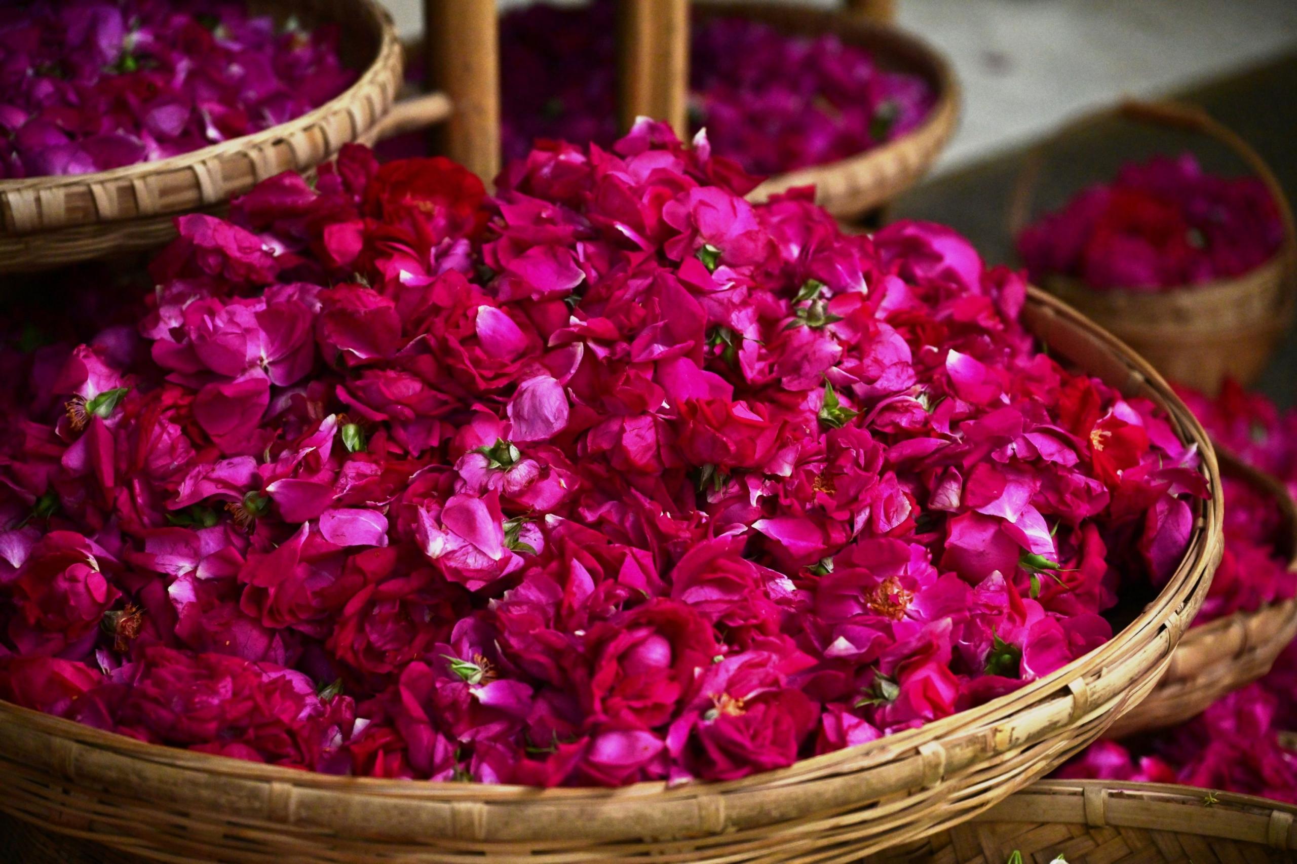  – 《鲜花饼店的玫瑰》[16P] 插图3