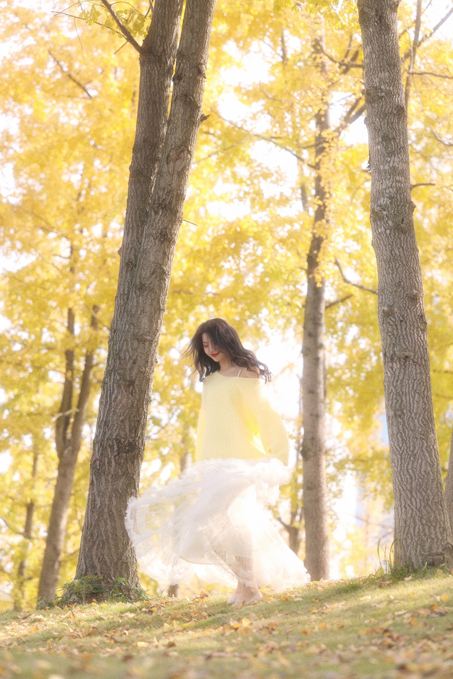 《秋日温柔限定秋日浪漫一大半是银杏给的》[29P] 插图1