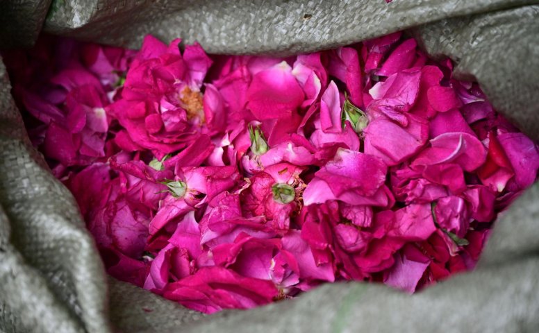 – 《鲜花饼店的玫瑰》[16P]