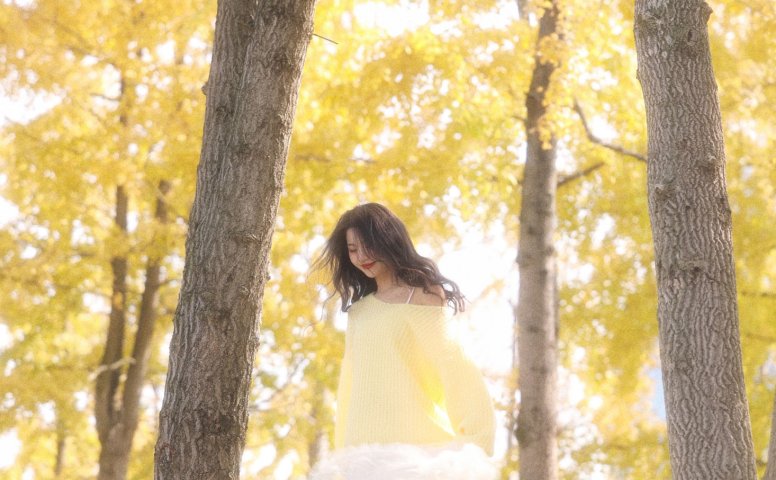 《秋日温柔限定秋日浪漫一大半是银杏给的》[29P]